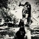 Logo Project Zero Dog Training