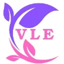 Logo Vibe Learn Elevate
