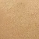 Logo First <mark>Try</mark>