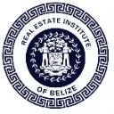 Logo <mark>Real Estate</mark> Institute-Belize
