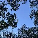 Logo Social impact project help