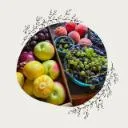 Logo Rooted & <mark>Wild</mark>