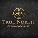 Logo The Nova Collective