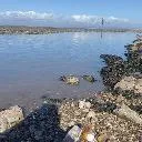 Logo Morecambe beach & <mark>environment</mark>