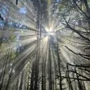 Logo Self Care Secrets