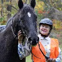 Logo All Things Equine