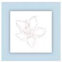 Logo Sisters Devoted