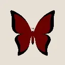 Logo SKOOL für Frauen