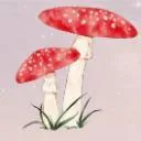 Logo Somatic Herbalism