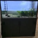 Logo 🐟 Something fishy 🐟