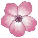 Logo <mark>SOS</mark> Vitalité