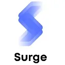 Logo Surge Revenue <mark>Management</mark>