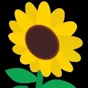 Logo Sunflower Wellness Center