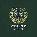 Logo Synergy Reset