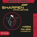 Logo Sharpen Challenge 2025