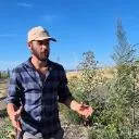 Logo Syntropic Sunlands w/ Milan