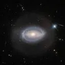 Logo The 1% Observatory