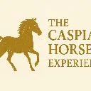 Logo The Caspian <mark>Horse</mark> Experience
