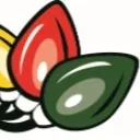 Logo The <mark>Christmas</mark> Light Guy Co