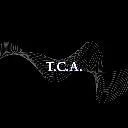 Logo The Coaching Academy