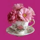 Logo Bring a <mark>Cup</mark>pa