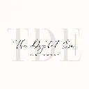 Logo The Digital Era