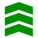 Logo The Effective Self