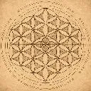 Logo The Frequency Hub