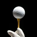 Logo The Grip It and Rip It Club