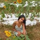 Logo The Higher Frequency Academy