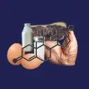 Logo The Hormone Lab