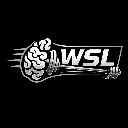 Logo The WellSport Lab