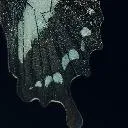 Logo the mirror method