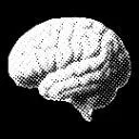 Logo The Discipline Rebuild