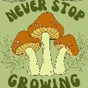 Logo The mushrooms