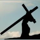 Logo The Provision Path