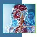 Logo The <mark>Resilient</mark> Body Project