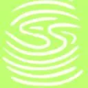 Logo The Simplified CEO School