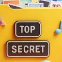 Logo The <mark>Secret</mark>