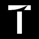 Logo The T Project