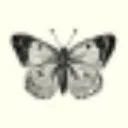 Logo The WonderMama Compass