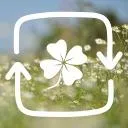 Logo The Gratitude Garden 🪴