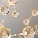 Logo The <mark>Peptide</mark> Pro