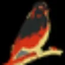 Logo CB <mark>Universe</mark>