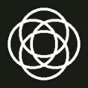 Logo Collective Traction