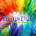 Logo Trans Folx