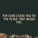 Logo Transformation is key