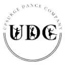 Logo UDC : The <mark>Virtual</mark> Skool