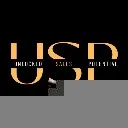 Logo USP Academy