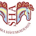 Logo Vägskälet - Din Egen Väg